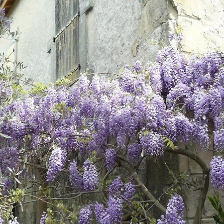 Solérieux La Ferme St Michel B&B 외부 사진