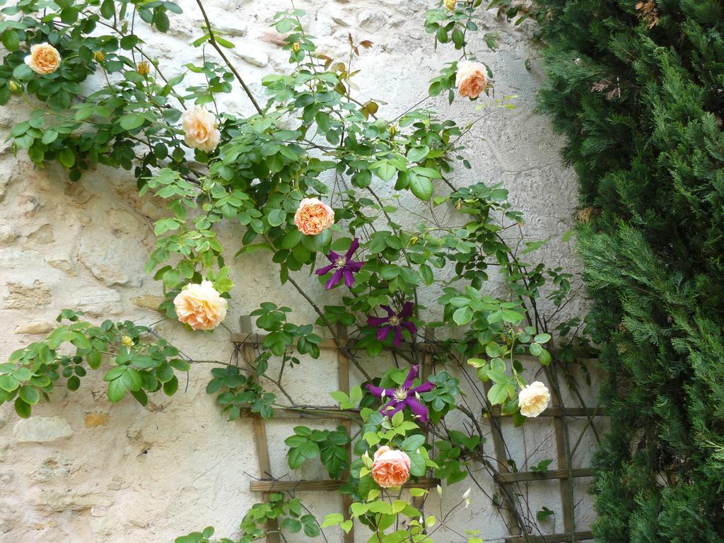 Solérieux La Ferme St Michel B&B 외부 사진