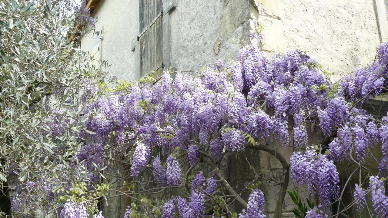 Solérieux La Ferme St Michel B&B 외부 사진